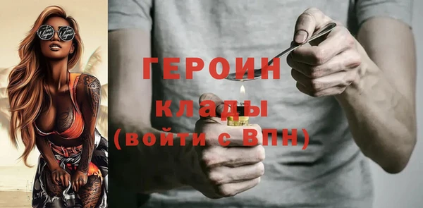 индика Горнозаводск