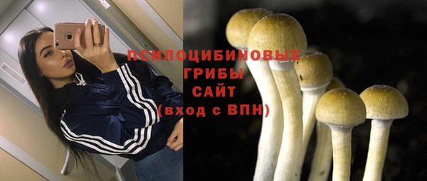 спиды Гусев