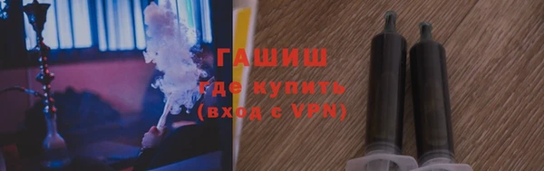 спиды Гусев