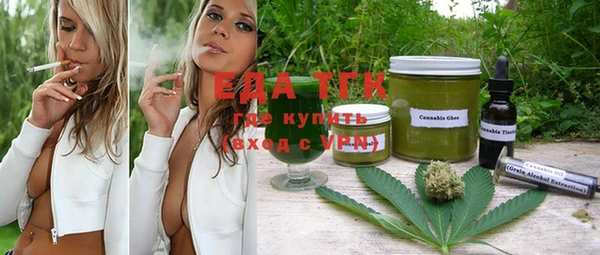 спиды Гусев