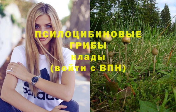 спиды Гусев