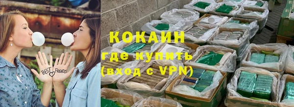 спиды Гусев