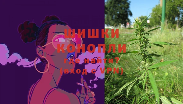 спиды Гусев